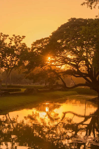 Asien Thailand Sukhothai Wat Mahathat solnedgång — Stockfoto