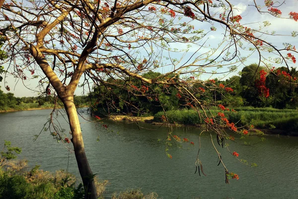 ASIA TAILANDIA SUKHOTHAI RÍO DE PAISAJE — Foto de Stock