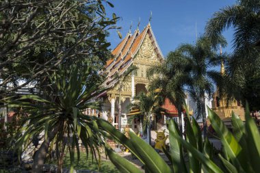 Tayland Phrae Wat Thai Tapınağı