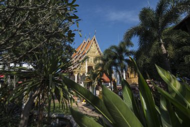 Tayland Phrae Wat Thai Tapınağı