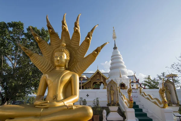 Thajsko Phrae Wat Phra ten chrám Doi Leng — Stock fotografie