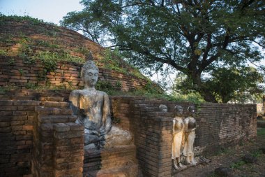 Tayland Phitsanulok Chandra Sarayı Harabeleri