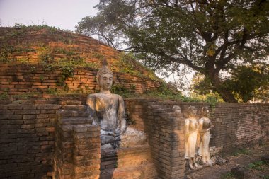 Tayland Phitsanulok Chandra Sarayı Harabeleri