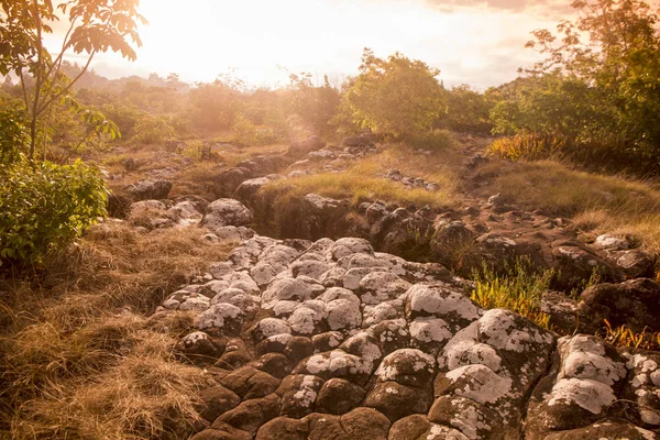 Thaiföld Phitsanulok Nemzeti Park — Stock Fotó