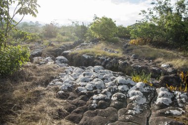 Tayland Phitsanulok Ulusal Parkı