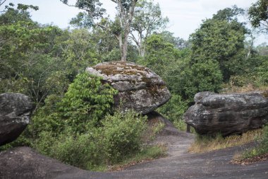 Tayland Phitsanulok Ulusal Parkı