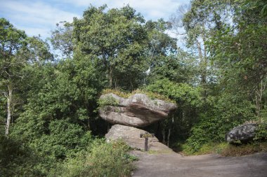 Tayland Phitsanulok Ulusal Parkı