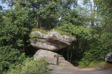 Tayland Phitsanulok Ulusal Parkı