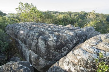 Tayland Phitsanulok Ulusal Parkı