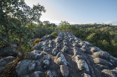Tayland Phitsanulok Ulusal Parkı