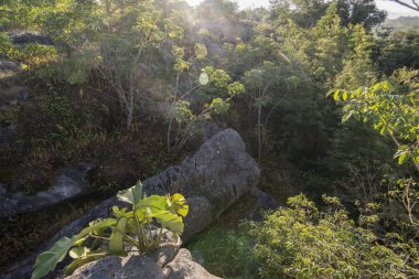 Tayland Phitsanulok Ulusal Parkı