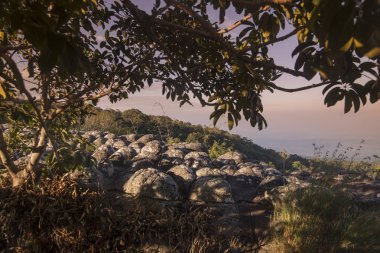 Tayland Phitsanulok Ulusal Parkı
