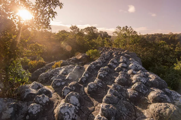 Národní park Thajsko Phitsanulok — Stock fotografie