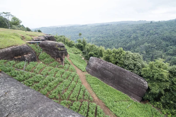 Tayland Phitsanulok Ulusal Parkı — Stok fotoğraf