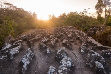 Tayland Phitsanulok Ulusal Parkı