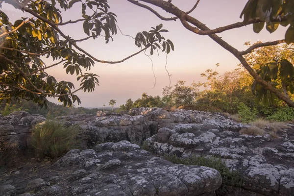 Národní park Thajsko Phitsanulok — Stock fotografie