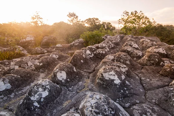 Thaiföld Phitsanulok Nemzeti Park — Stock Fotó