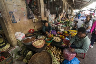 Kamboçya Battambang Pazar Psar Thmei