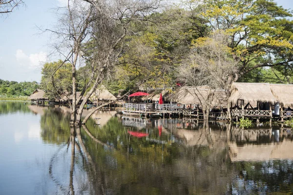 KARMBODIA BATTAMBANG MED BANAN LANDSCAPE – stockfoto