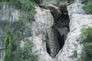 Kamboçya Battambang Hamam Mağarası