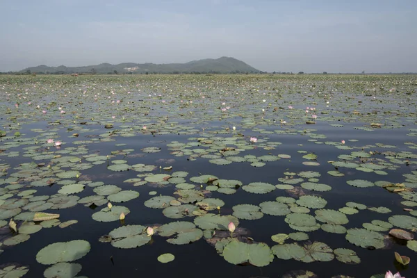 CAMBODIA BATTAMBANG KAMPING POUY LAKE — Stock Photo, Image