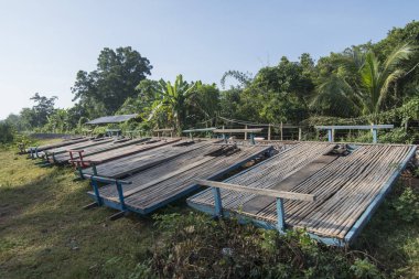 Kamboçya Battambang Bambu Tren