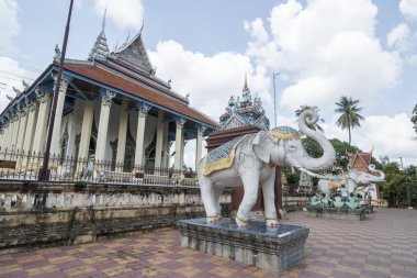 Kamboçya Battambang Wat Damrey Sar Tapınağı