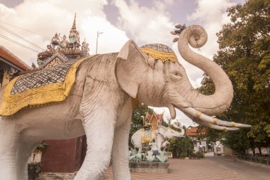 Kamboçya Battambang Wat Damrey Sar Tapınağı