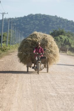 Kamboçya Battambang Tarım Taşımacılığı