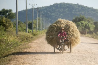 Kamboçya Battambang Tarım Taşımacılığı
