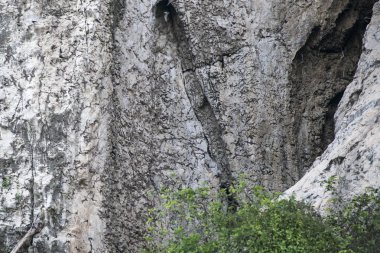 Kamboçya Battambang Hamam Mağarası