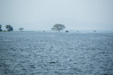 Kamboçya Battambang Kamping Pouy Gölü