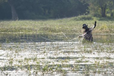 Kamboçya Battambang Kamping Pouy Gölü