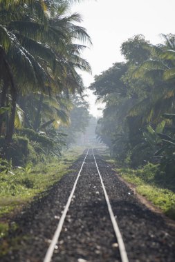 Kamboçya Battambang Demiryolu