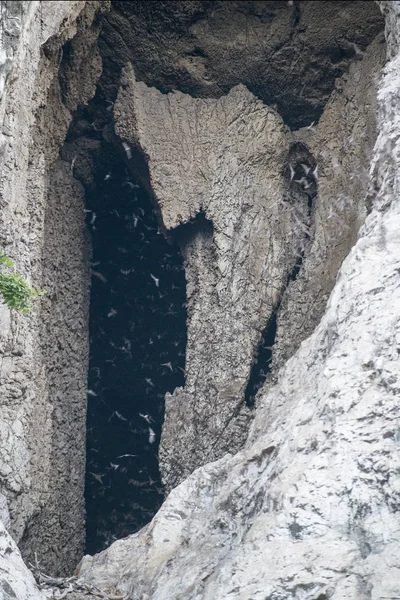 CAMBODGE BATTAMBANG BATH CAVE — Photo