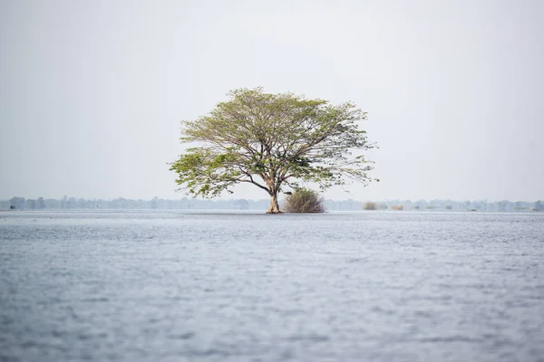 カンボジア バッタンバン カンピング プーイ 湖 — ストック写真