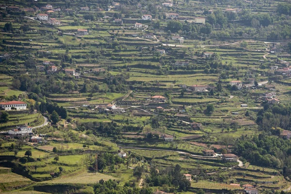 Avrupa Portekiz Douro Manzara — Stok fotoğraf