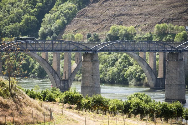 Avrupa Portekiz Douro Regua — Stok fotoğraf