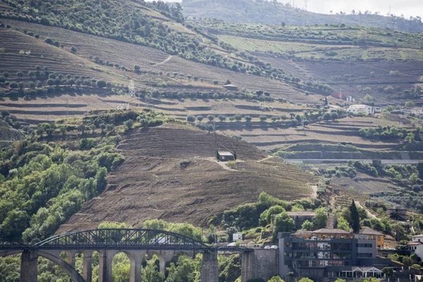 EUROPA PORTOGALLO DOURO RIVER WINERY — Foto Stock