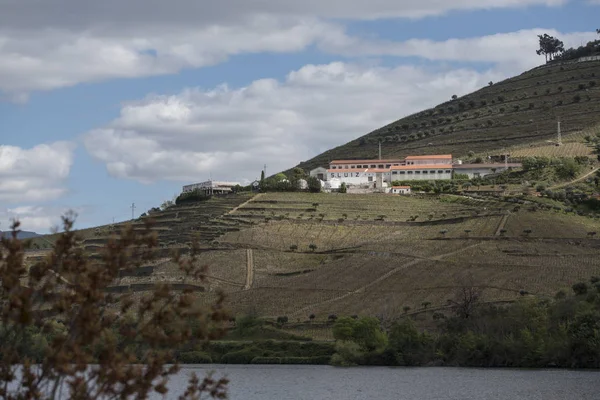 Europe Portugal Douro River Winery — Stockfoto
