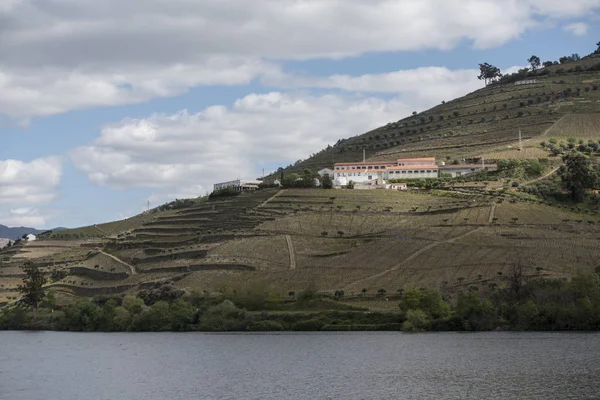 EUROPE PORTUGAL DOURO RIVER WINERY — Stock Photo, Image