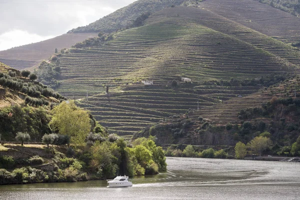 Avrupa Portekiz Douro Nehri — Stok fotoğraf
