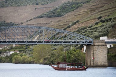 Avrupa Portekiz Douro Köprüsü