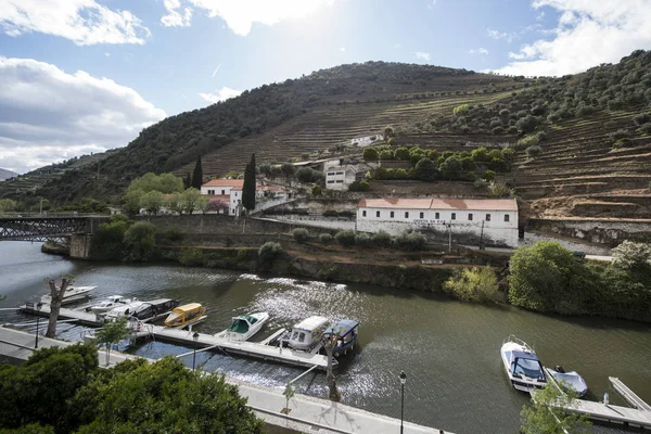 EUROPA PORTOGALLO DOURO RIVER WINERY — Foto Stock