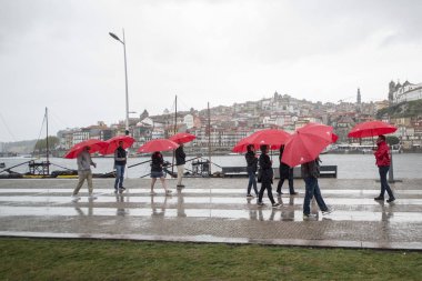 Avrupa Portekiz Porto