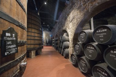 Avrupa Portekiz Porto Limanı şarap mahzeni
