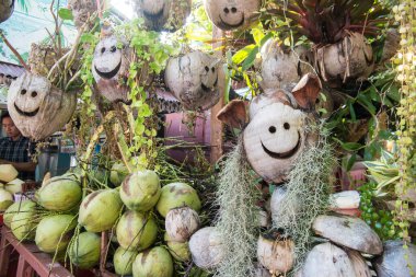 Kuzey Tayland 'daki Chiang Rai şehrinin altın üçgenindeki Sop Ruak kasabasındaki Mekong Nehri' nde bir hindistan cevizi içecek dükkanı. Tayland, Chiang Sean, Kasım 2019