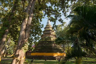 Kuzey Tayland 'da Chiang Rai şehrinin Chiang Saen kasabasındaki Chedi Luang' ın Wat Phra 'sı. Tayland, Chiang Sean, Kasım 2019