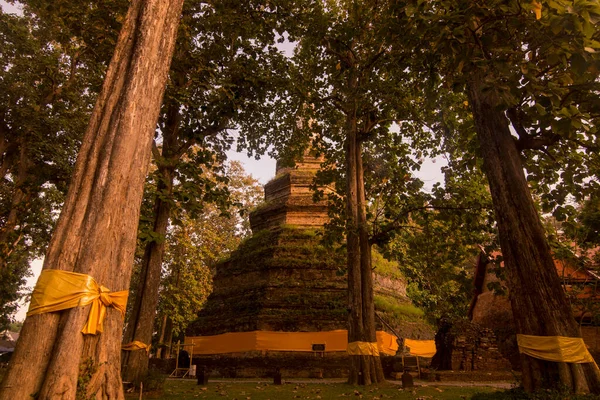 Wat Phra Chedi Luang Dans Ville Chiang Saen Dans Nord — Photo