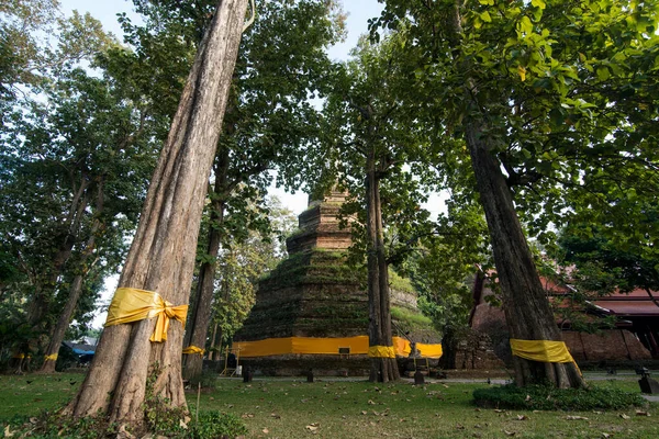 Wat Phra Que Chedi Luang Cidade Chiang Saen Norte Cidade — Fotografia de Stock